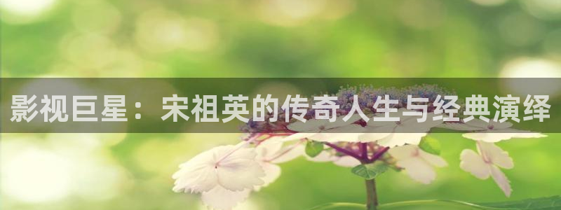 紅葉電影院今日影訊