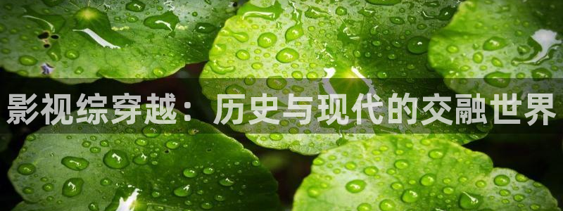 六安紅葉電影院今日影訊：影視綜穿越：歷史與現代的交融世界
